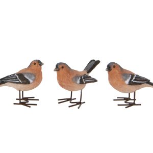 A Little Chaffinch