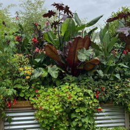 474479061_1164741108986619_5161980986012902358_n