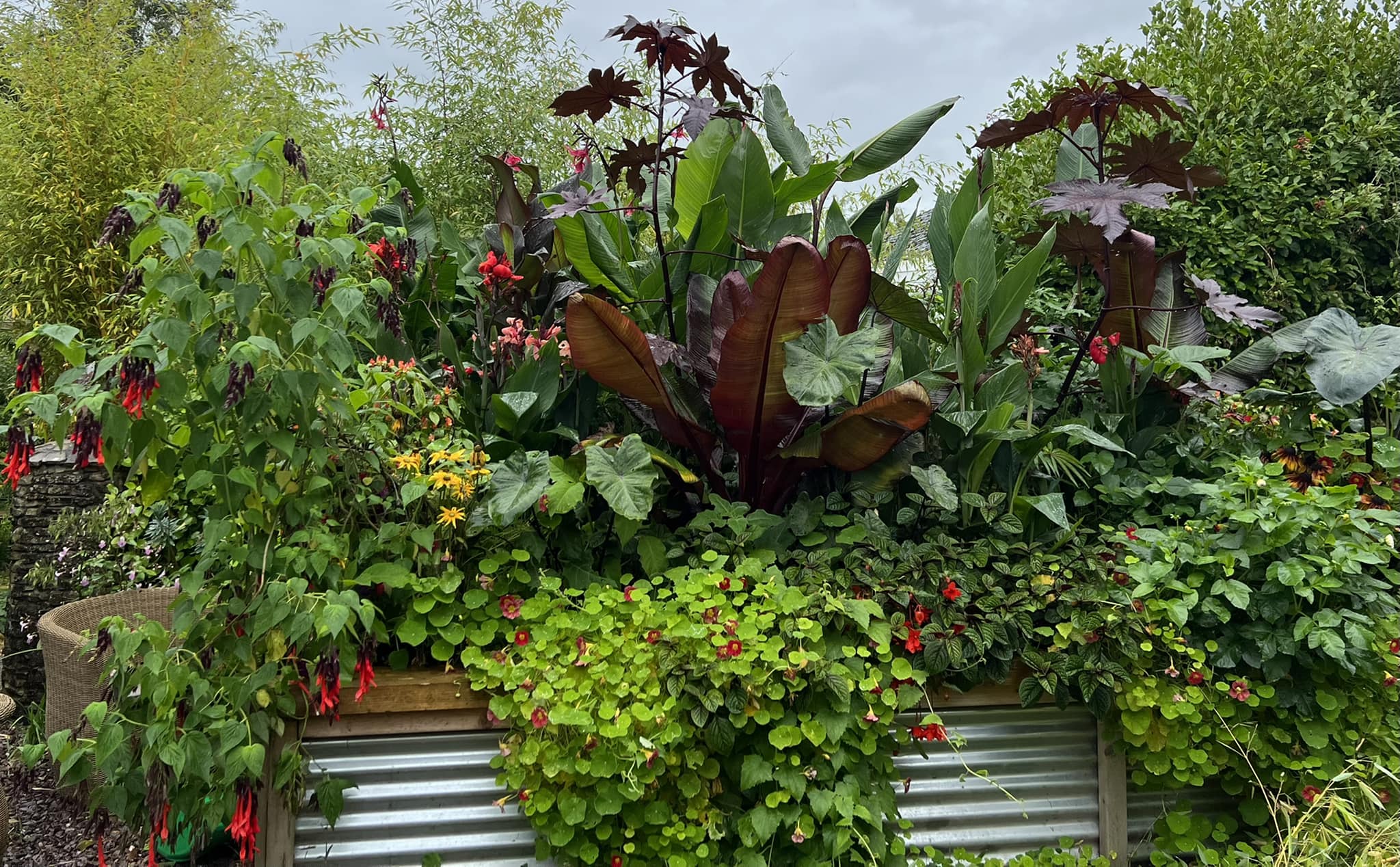 Terra Nova Garden