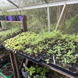 483485893_1204684841658912_2876124572757815169_n