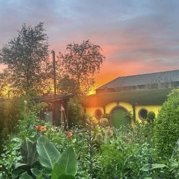 489101647_1227383946055668_5993596051260334842_n (1)