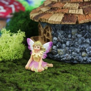 Fiddlehead Fairy Tulip