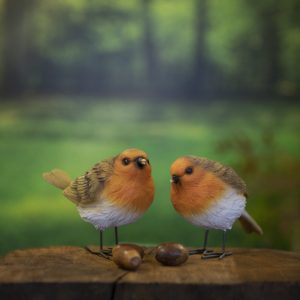 Set of Garden Robins