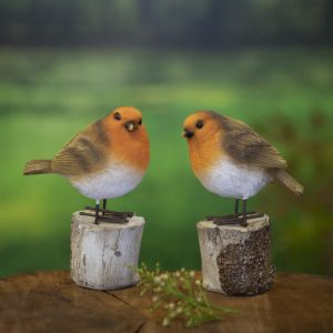 Set of Garden Robins On Log